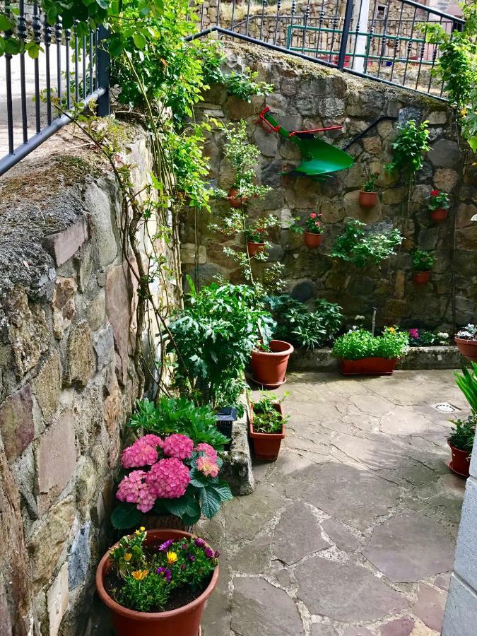 Apartamentos Rurales Los Nogales Cosgaya Eksteriør bilde